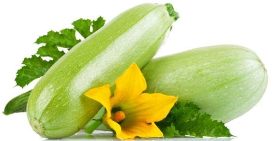 Battuto di zucchine fresche